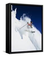 Skier in Powder at Big Mountain Resort, Whitefish, Montana, USA-Chuck Haney-Framed Stretched Canvas