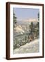 Brown Frame