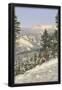 Essential Black