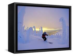 Skier in Snowghosts at Big Mountain Resort in Whitefish, Montana, USA-Chuck Haney-Framed Stretched Canvas