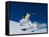 Skier in White-null-Framed Stretched Canvas