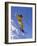 Skier in Yellow Against a Blue Sky-null-Framed Photographic Print