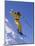 Skier in Yellow Against a Blue Sky-null-Mounted Photographic Print