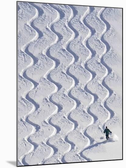 Skier Leaves His Trace in the Deep Snow on a Hill Near St. Maergen in the Black Forest of Germany-null-Mounted Photographic Print