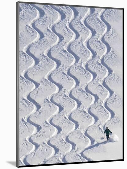 Skier Leaves His Trace in the Deep Snow on a Hill Near St. Maergen in the Black Forest of Germany-null-Mounted Photographic Print