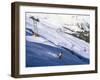 Skier on Slopes Above Village of Solden in Tirol Alps, Tirol, Austria-Richard Nebesky-Framed Photographic Print