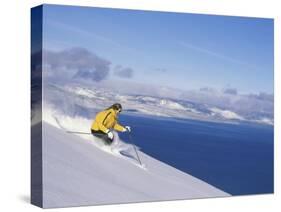 Skier with Beautiful Scenery Beyond-null-Stretched Canvas