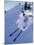 Skier-null-Mounted Photographic Print