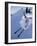 Skier-null-Framed Photographic Print