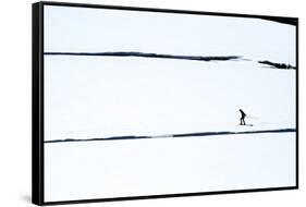 Skiers on the Sunwapta River in Jasper National Park, Alberta Canada-Richard Wright-Framed Stretched Canvas