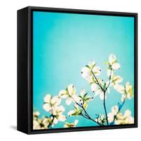 Skies of Blue-Carolyn Cochrane-Framed Stretched Canvas