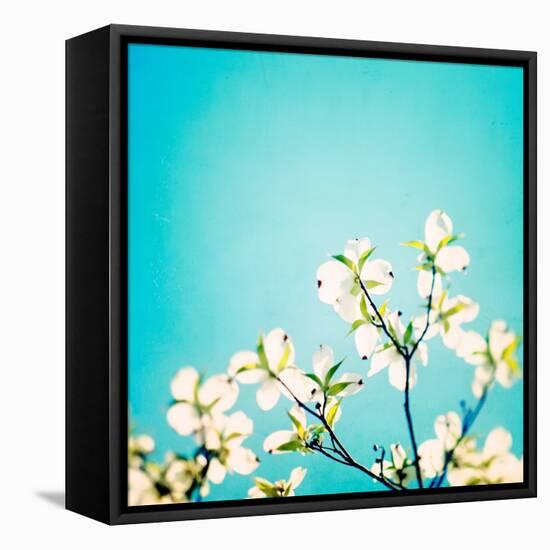 Skies of Blue-Carolyn Cochrane-Framed Stretched Canvas