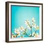 Skies of Blue-Carolyn Cochrane-Framed Photographic Print