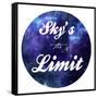 Skies The Limit-Marcus Prime-Framed Stretched Canvas