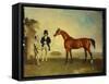 Skiff, a Bay Racehorse Held by a Groom on Newmarket Heath, with John Howe-Benjamin Marshall-Framed Stretched Canvas