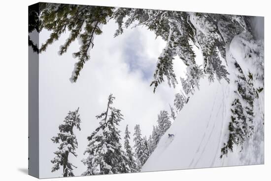 Skiing A Powder Haven, Winter Whiteout In Backcountry Near Mt Baker Ski Area In Washington State-Jay Goodrich-Stretched Canvas