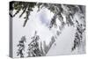 Skiing A Powder Haven, Winter Whiteout In Backcountry Near Mt Baker Ski Area In Washington State-Jay Goodrich-Stretched Canvas