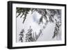 Skiing A Powder Haven, Winter Whiteout In Backcountry Near Mt Baker Ski Area In Washington State-Jay Goodrich-Framed Photographic Print