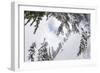 Skiing A Powder Haven, Winter Whiteout In Backcountry Near Mt Baker Ski Area In Washington State-Jay Goodrich-Framed Photographic Print