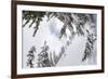 Skiing A Powder Haven, Winter Whiteout In Backcountry Near Mt Baker Ski Area In Washington State-Jay Goodrich-Framed Photographic Print
