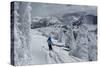 Skiing Amongst Ghost Trees Grand Targhee Ski Resort, Wyoming (MR)-Howie Garber-Stretched Canvas