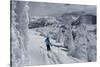 Skiing Amongst Ghost Trees Grand Targhee Ski Resort, Wyoming (MR)-Howie Garber-Stretched Canvas