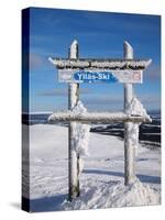 Skiing Area of Ylläs-pljvv-Stretched Canvas