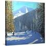 Skiing, Beauregard La Clusaz, 2012-Andrew Macara-Stretched Canvas