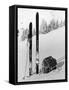 Skiing Equipment-null-Framed Stretched Canvas