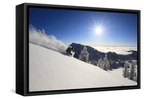 Skiing First Tracks On The Backside Of Catherines In Alta, Utah-Liam Doran-Framed Stretched Canvas