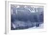 Skiing Gondola, Whistler to Blackcomb, British Columbia, Canada-Walter Bibikow-Framed Photographic Print