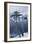 Skiing Gondola, Whistler to Blackcomb, British Columbia, Canada-Walter Bibikow-Framed Photographic Print