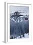 Skiing Gondola, Whistler to Blackcomb, British Columbia, Canada-Walter Bibikow-Framed Photographic Print