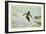 Skiing in Sun Valley, Idaho-null-Framed Art Print