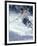 Skiing in Taos, New Mexico, USA-Lee Kopfler-Framed Photographic Print