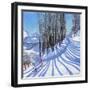 Skiing,La Daille,Tignes,France.2015,(oil on canvas)-Andrew Macara-Framed Giclee Print