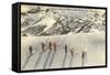 Skiing on Mazama Ridge, Mt. Rainier, Washington-null-Framed Stretched Canvas