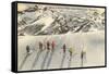 Skiing on Mazama Ridge, Mt. Rainier, Washington-null-Framed Stretched Canvas