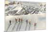 Skiing on Mazama Ridge, Rainier National Park, Washington-null-Mounted Premium Giclee Print