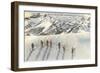 Skiing on Mazama Ridge, Rainier National Park, Washington-null-Framed Art Print