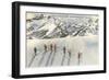 Skiing on Mazama Ridge, Rainier National Park, Washington-null-Framed Art Print