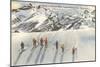 Skiing on Mazama Ridge, Rainier National Park, Washington-null-Mounted Art Print