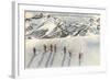 Skiing on Mazama Ridge, Rainier National Park, Washington-null-Framed Art Print