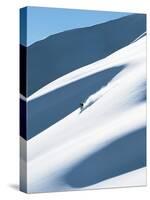 Skiing, Roger's Pass, Glacier National Park, British Columbia-Henry Georgi-Stretched Canvas