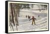 Skiing Scene, La Crosse, Wisconsin-null-Framed Stretched Canvas