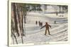 Skiing Scene, La Crosse, Wisconsin-null-Stretched Canvas