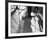 Skiing Shadows-null-Framed Photographic Print