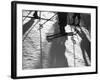 Skiing Shadows-null-Framed Photographic Print
