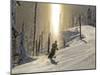 Skiing Through a Sundog on Corduroy Groomed Runs at Whitefish Mountain Resort, Montana, Usa-Chuck Haney-Mounted Photographic Print