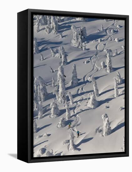 Skiing Through the Snowghosts at Whitefish Mountain Resort, Montana, USA-Chuck Haney-Framed Stretched Canvas